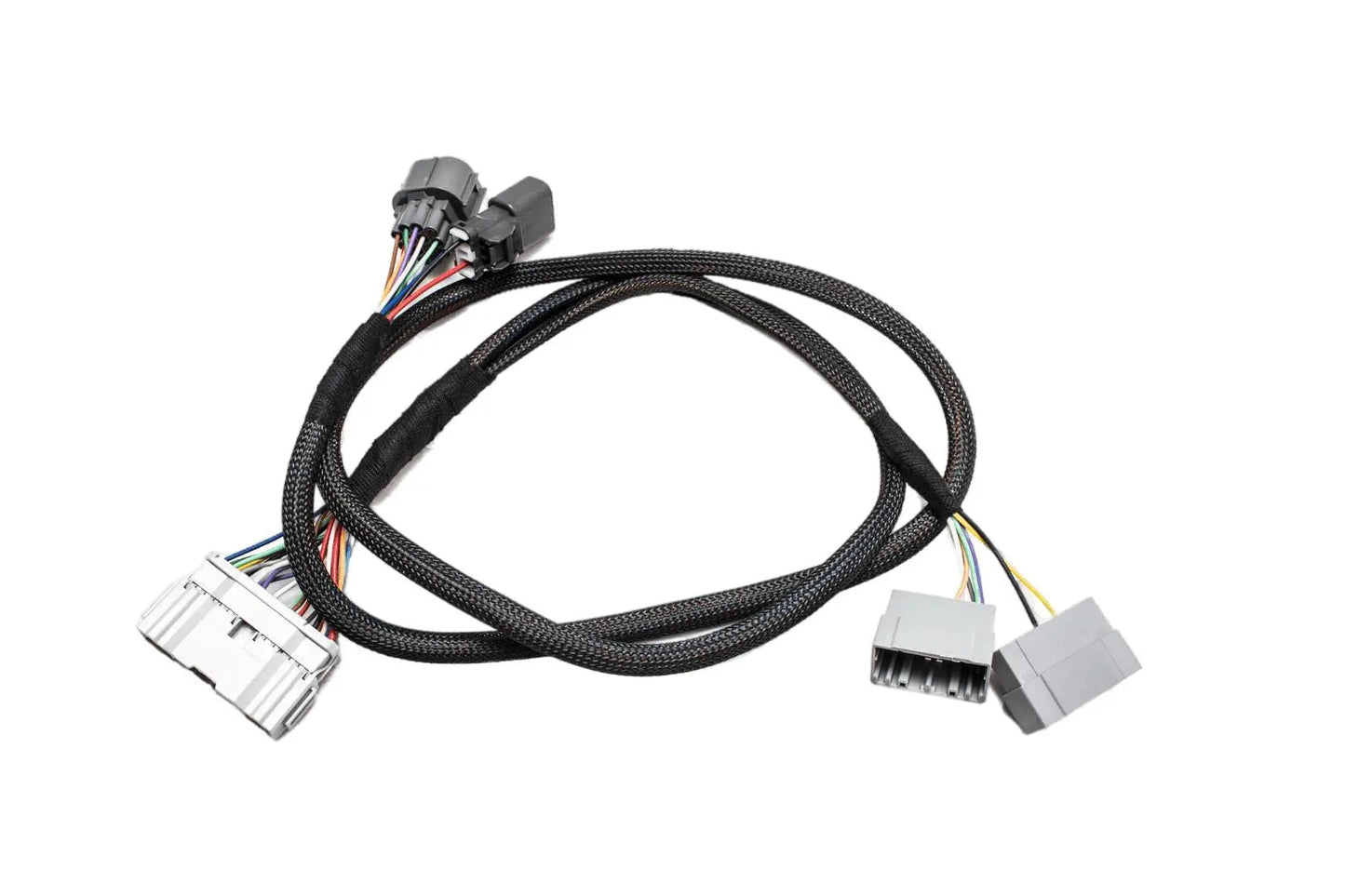 B Series OBD1 Subharness | 92-95 EG | 94-95 Integra Carrot Top Tuning