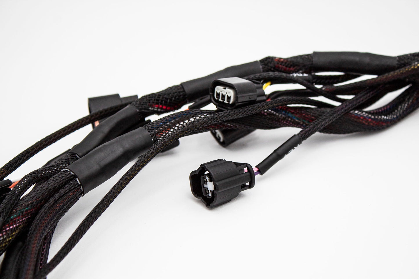 Budget K20 K24 K-Series Tucked Swap Engine Harness RHD, RWD and LHD Acura Honda Carrot Top Tuning