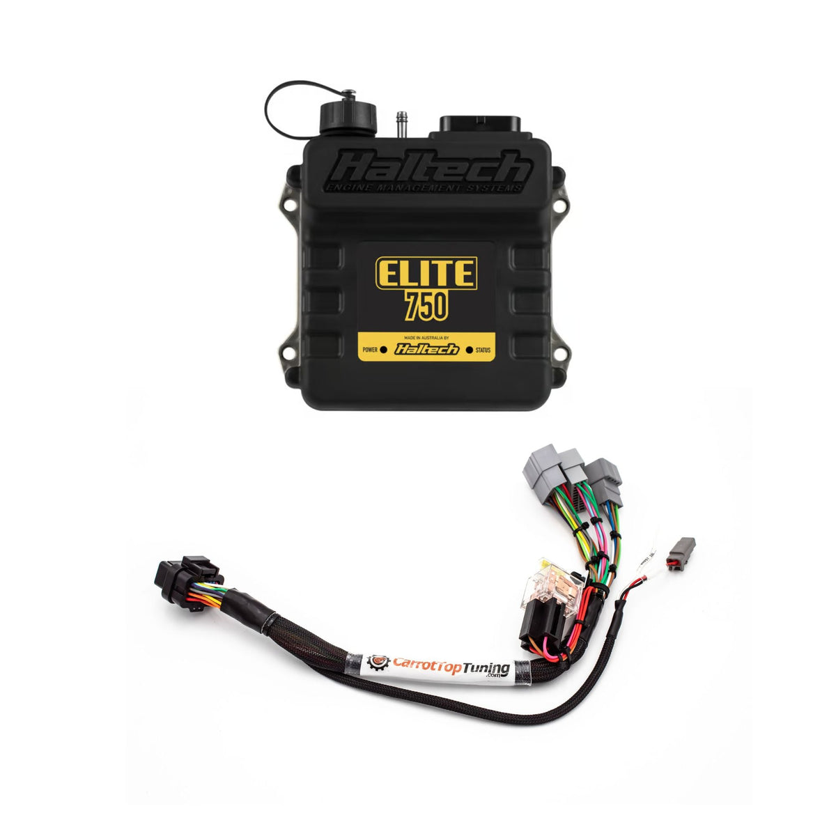 Haltech Elite 550/750 B Series & H Series Standalone Honda B18 B16 H22 H23 Jumper Adapter Sub Harness OBD1 | EG, Integra Carrot Top Tuning
