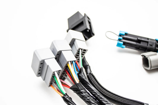 Plug & Play Jumper Harness for AEM Infinity 506 508 6 8H ECUs | 30-3501 Carrot Top Tuning