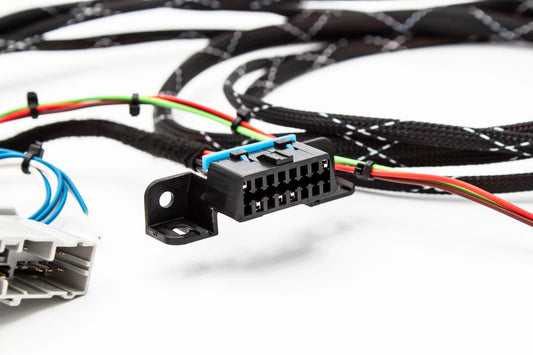 The Electrical Side of Honda Engine Swaps: Chassis Signal Mapping & OBD Integration
