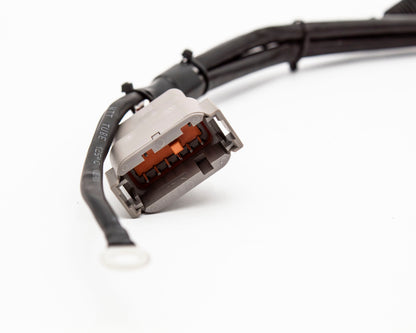 1.8T Universal Ignition Coil Pack Replacement Harness V4 Carrot Top Tuning