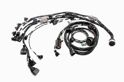 1.8T MK4 Wire Tucked Complete Engine Harness Wideband ECU's only AWP, AWW, BEA, BAM - V1 Carrot Top Tuning
