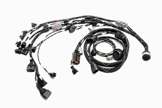 1.8T MK4 Wire Tucked Complete Engine Harness Wideband ECU's only AWP, AWW, BEA, BAM - V1 Carrot Top Tuning