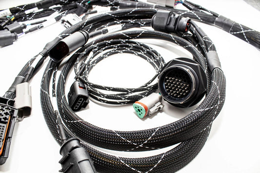 1.8T MK4 Wire Tucked Complete Engine Harness Wideband ECU's only AWP, AWW, BEA, BAM - V1 Carrot Top Tuning