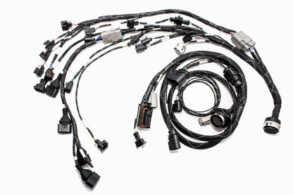 1.8T MK4 Wire Tucked Complete Engine Harness Wideband ECU's only AWP, AWW, BEA, BAM - V1 Carrot Top Tuning