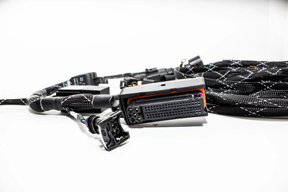 1.8T MK4 Wire Tucked Complete Engine Harness Wideband ECU's only AWP, AWW, BEA, BAM - V1 Carrot Top Tuning