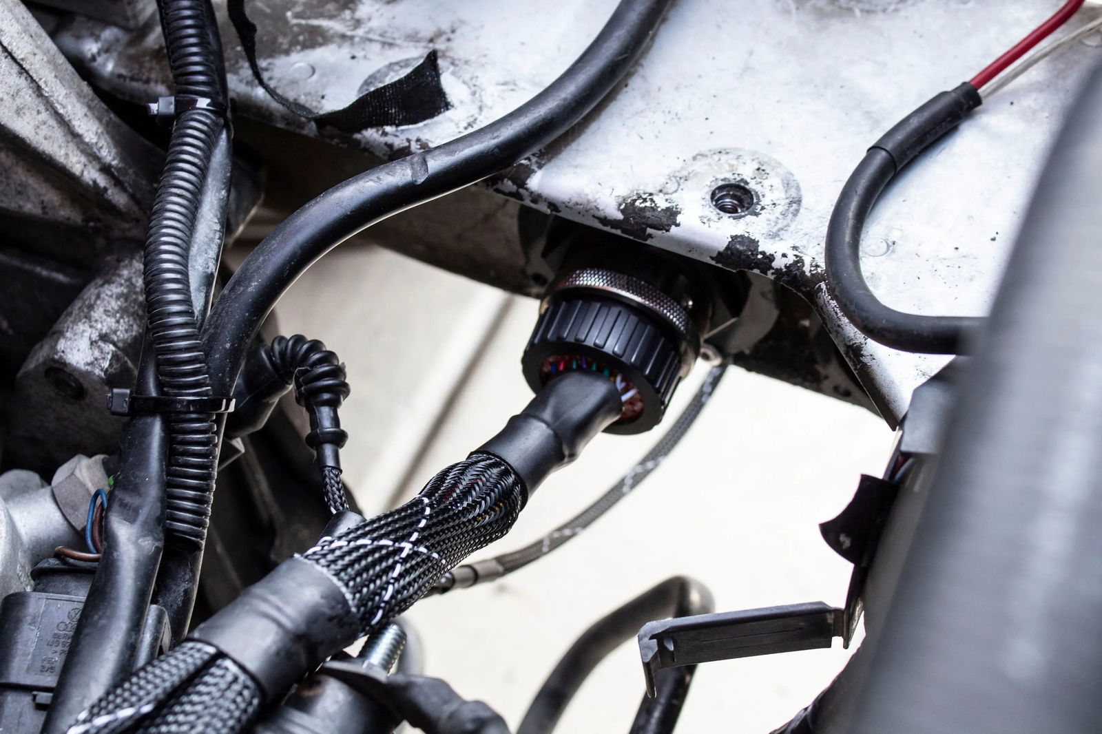 1.8T MK4 Wire Tucked Complete Engine Harness Wideband ECU's only AWP, AWW, BEA, BAM - V1 Carrot Top Tuning