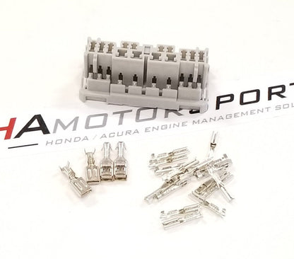 C101 Male Connector Kit with terminals