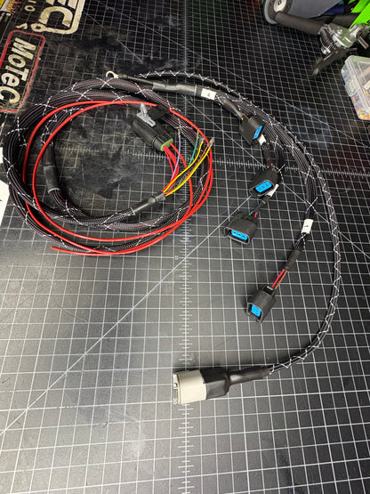 COP Coil Harness – DT 6-Pin to K-Series Coils | 12" Lead | Standalone ECU Ready VTI