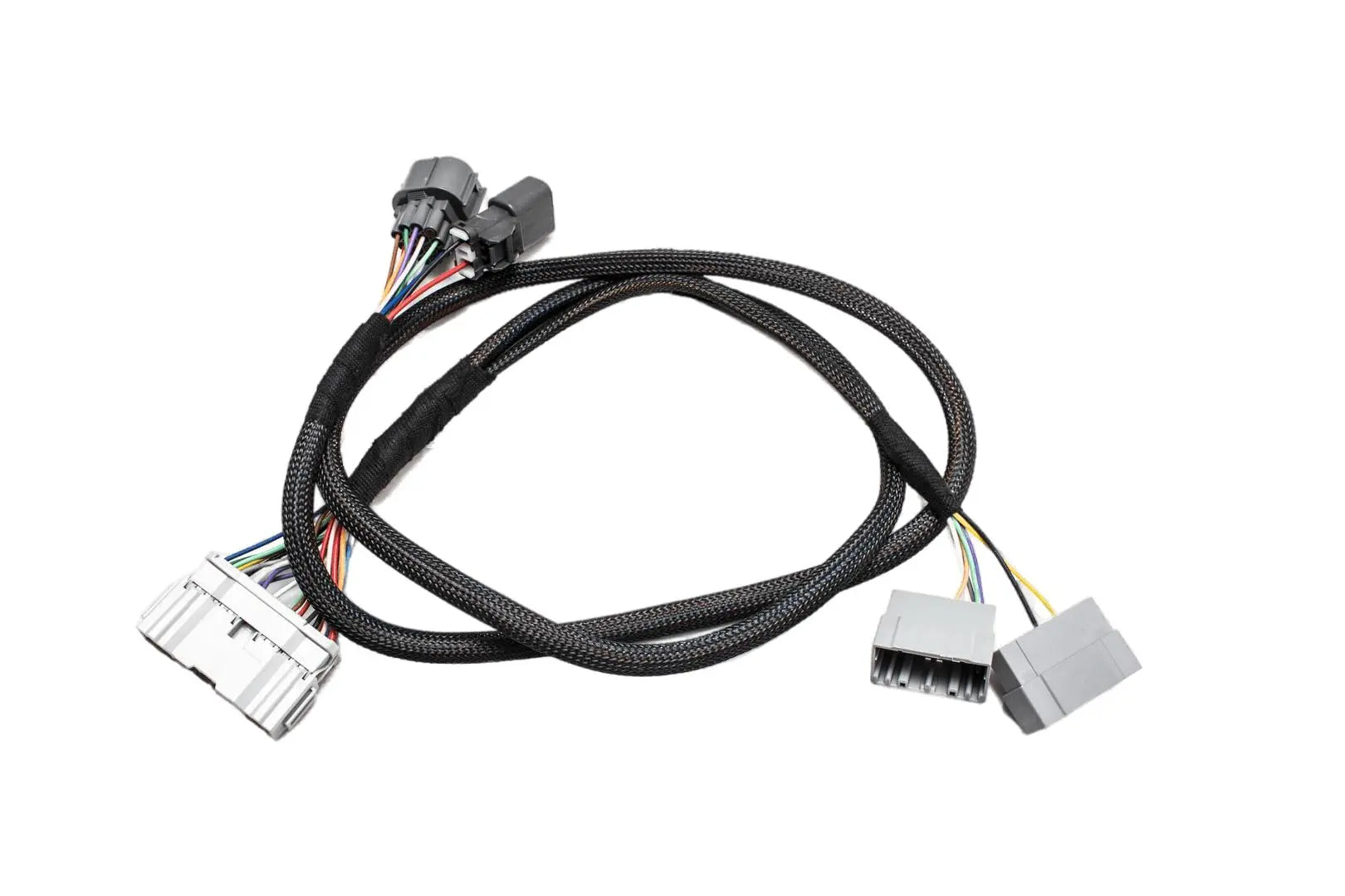 B Series OBD1 Subharness | 92-95 EG | 94-95 Integra Carrot Top Tuning