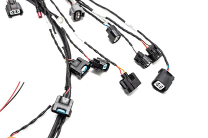 CTT-Street-Spec K20 K24 K-Series Tucked Swap Engine Harness V3 RHD, RWD and LHD | Acura | Honda | VTI