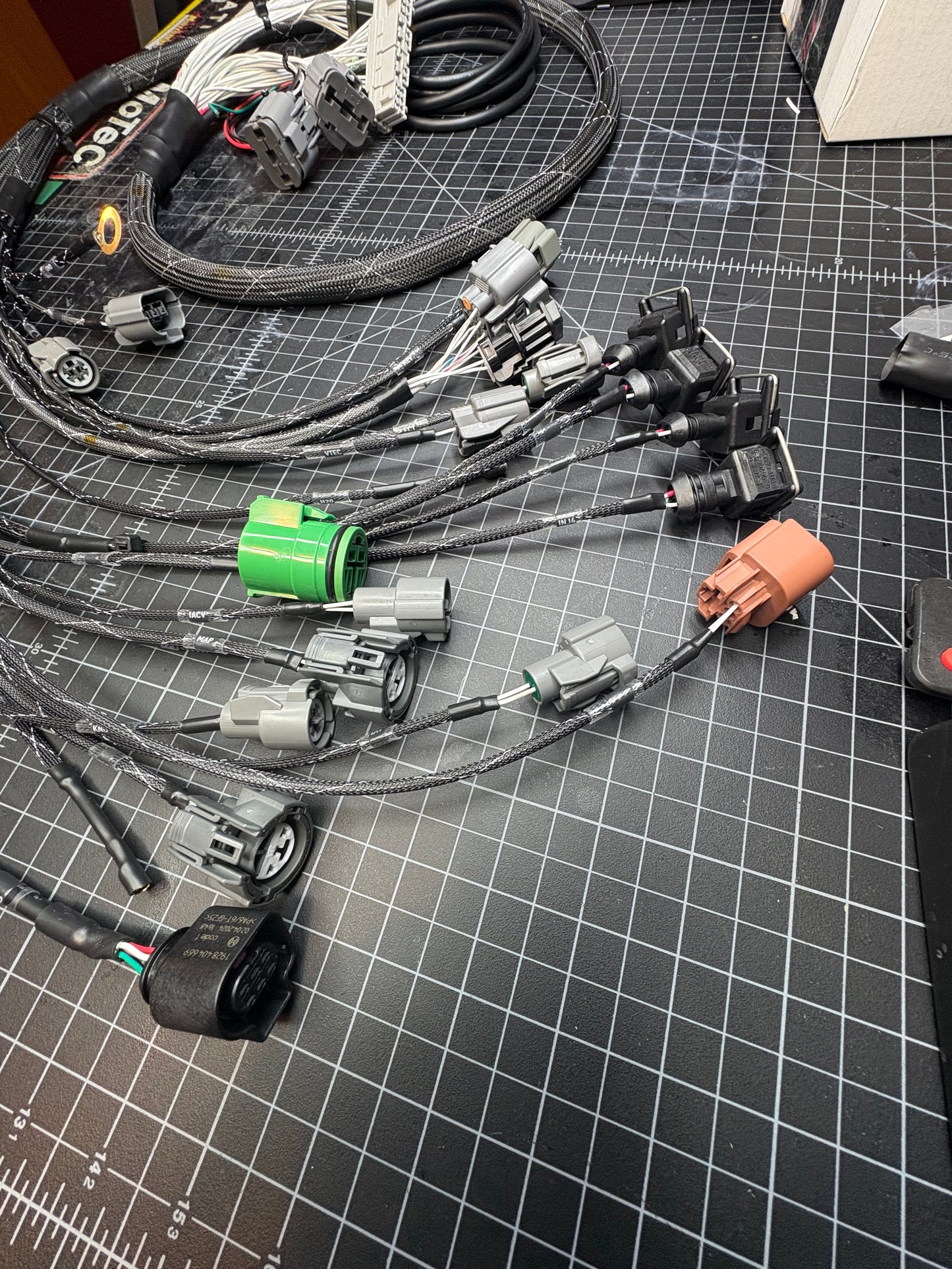 Budget Honda B/D-Series Engine Harness | VTI Budget Spec