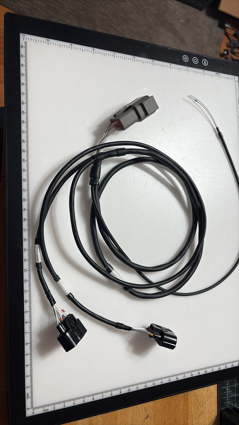 Cesar’s FT550 Expansion DBW harness with APPS