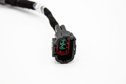 RB25DET NEO Smart Ignition Coil Harness - 1998-2002 Skyline R34 GTS/GTS4 Stagea - S2 (Series 2) Carrot Top Tuning