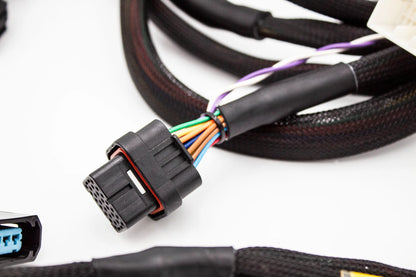 K-Series FT450 Engine Harness – Street-Spec TXL – K20-K24 – C101 Integrated VTI