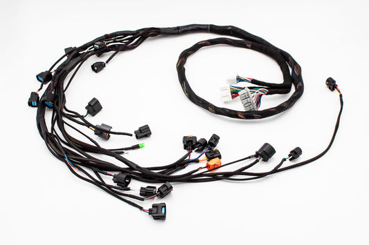 Budget K20 K24 K-Series Tucked Swap Engine Harness RHD, RWD and LHD  Acura  Honda Carrot Top Tuning