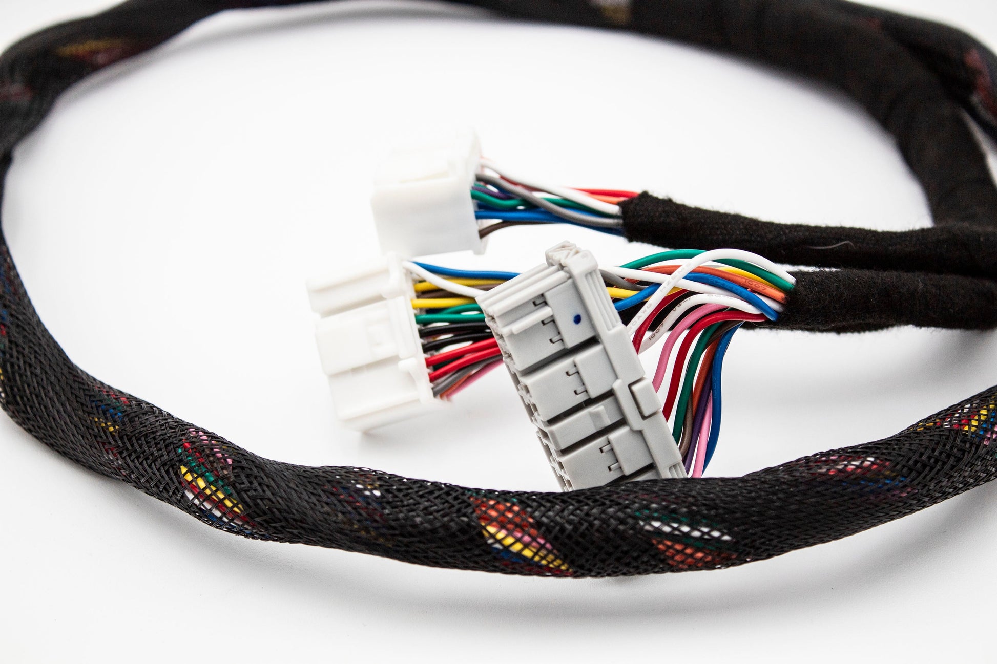 Budget K20 K24 K-Series Tucked Swap Engine Harness RHD, RWD and LHD  Acura  Honda Carrot Top Tuning