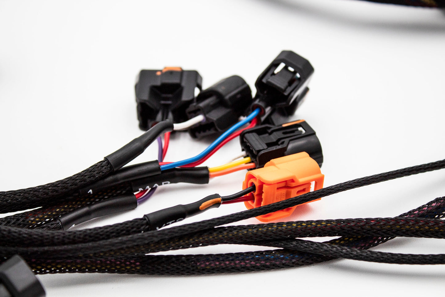 Budget K20 K24 K-Series Tucked Swap Engine Harness RHD, RWD and LHD  Acura  Honda Carrot Top Tuning