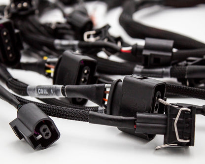 OEM+ 1.8T 40 Pin Complete Engine Harness Narrowband/Wideband ECU's | VW Audi Seat Skoda MK4 Carrot Top Tuning