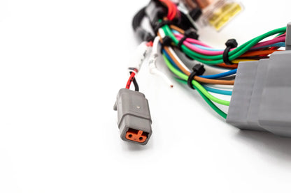 Haltech Elite 550 / 750 Plug & Play Adapter Harness – Honda OBD1 B / D / H Series VTI