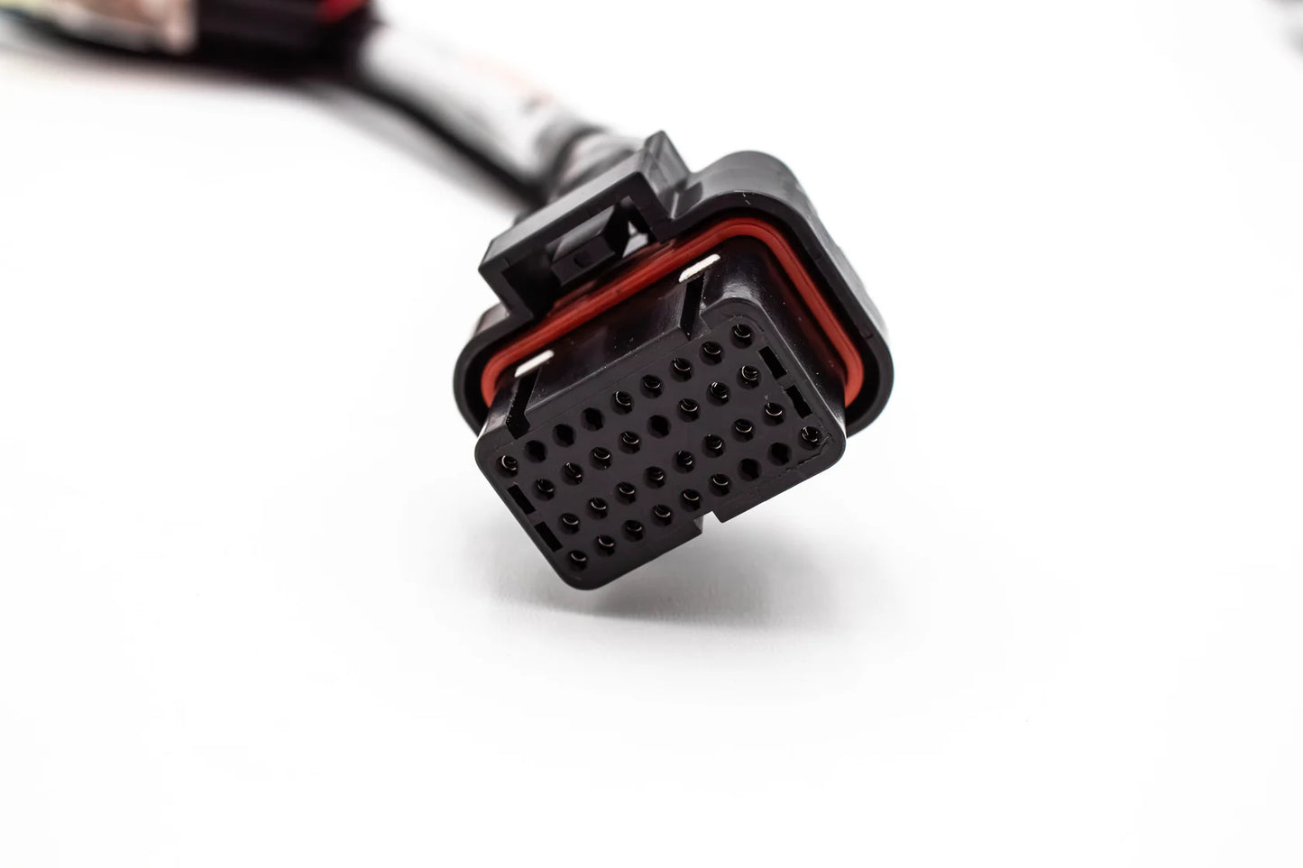 Haltech Elite 550 / 750 Plug & Play Adapter Harness – Honda OBD1 B / D / H Series VTI