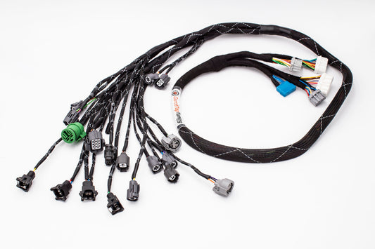 D & B-Series OBD1 Tucked Engine Harness Kit w/ Subharness | 92-95 Civic EG EJ Carrot Top Tuning