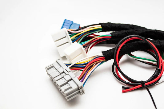 K20 K24 05-06 RSX K-Series Tucked Swap Engine Harness RHD, RWD and LHD | Acura | Honda | Carrot Top Tuning