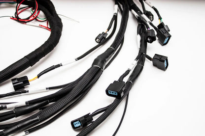 K20 K24 05-06 RSX K-Series Tucked Swap Engine Harness RHD, RWD and LHD | Acura | Honda | Carrot Top Tuning