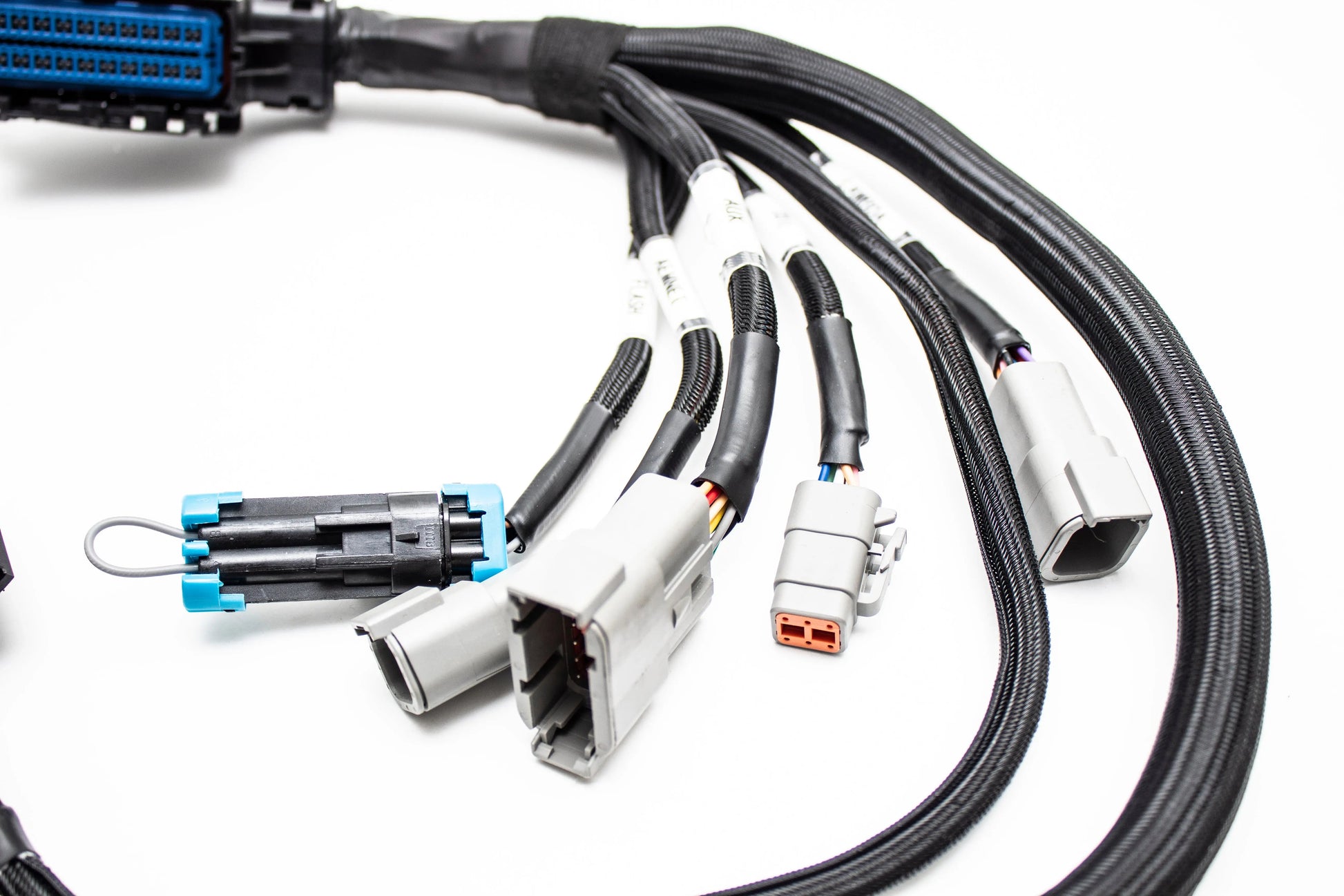 Plug & Play Jumper Harness for AEM Infinity 506 508 6 8H ECUs |  30-3501 Carrot Top Tuning