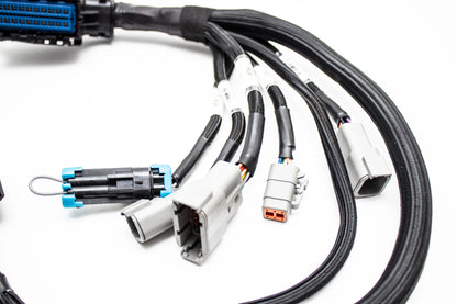 Plug & Play Jumper Harness for AEM Infinity 506 508 6 8H ECUs |  30-3501 Carrot Top Tuning