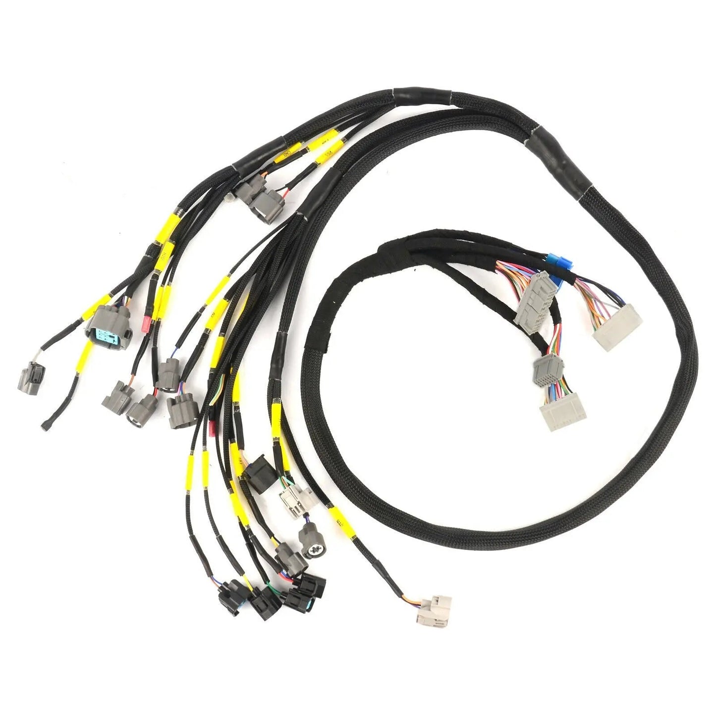 D & B-Series OBD2 Engine Tucked Engine Harness Kit w/ Subharness | 88 - 91 EF CRX Carrot Top Tuning