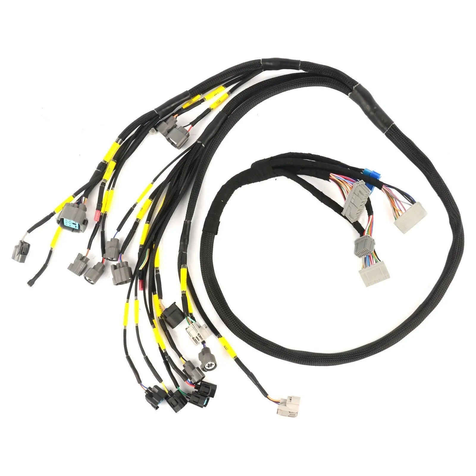 D & B-Series OBD2 Engine Tucked Engine Harness Kit w/ Subharness | 88 - 91 EF CRX Carrot Top Tuning