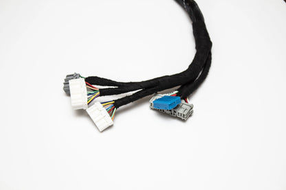 H-Series H2B OBD1 Tucked Engine Harness Kit w/ Subharness | 92-95 Civic EG EJ Carrot Top Tuning