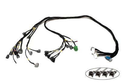 D & B-Series OBD1 Tucked Engine Harness Kit w/ Subharness | 96-98 Civic EK Carrot Top Tuning
