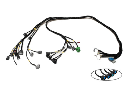 D & B-Series OBD1 Tucked Engine Harness Kit w/ Subharness | 96-98 Civic EK Carrot Top Tuning