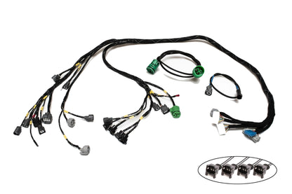 H-Series H2B OBD2A Tucked Engine Harness Kit w/ Subharness | 96-98 Civic EK Carrot Top Tuning