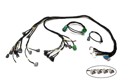 H-Series H2B OBD2A Tucked Engine Harness Kit w/ Subharness | 96-98 Civic EK Carrot Top Tuning