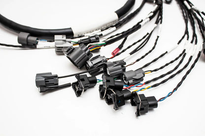 D & B-Series OBD1 Tucked Engine Harness Kit w/ Subharness | 96-99 Acura Integra DC Carrot Top Tuning