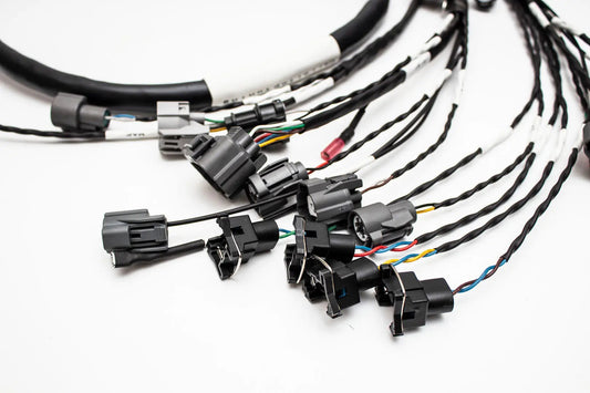 D & B-Series OBD1 Tucked Engine Harness Kit w/ Subharness | 96-99 Acura Integra DC Carrot Top Tuning