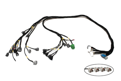 D & B-Series OBD1 Tucked Engine Harness Kit w/ Subharness | 99-01 Civic EK Carrot Top Tuning