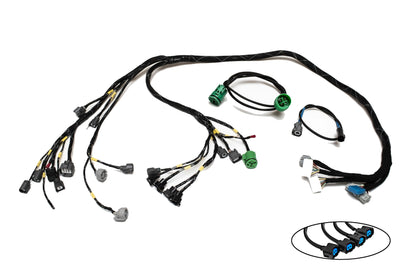 H-Series H2B OBD2B Tucked Engine Harness Kit w/ Subharness | 99-01 Civic EK Carrot Top Tuning