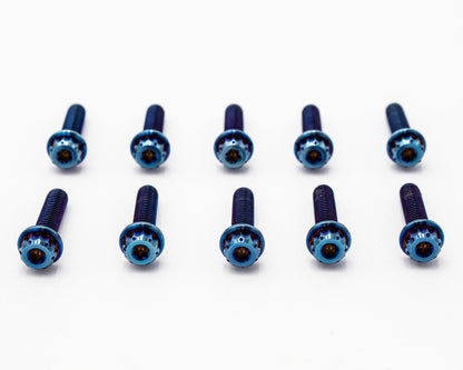 Burnt Titanium Intake Manifold Bolt Kit 12PT – M6 – VW / AUDI 1.8T - 10 pcs Carrot Top Tuning