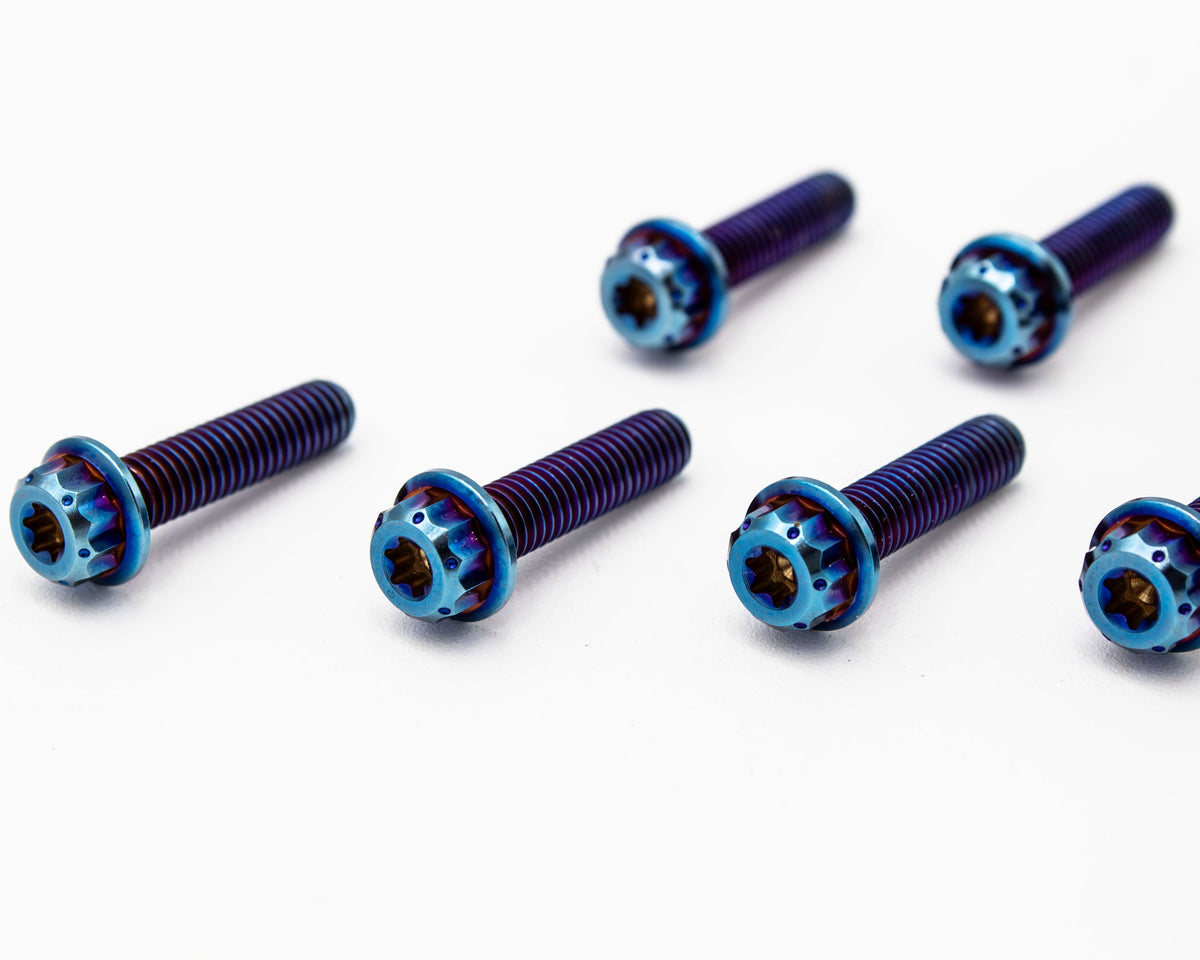 Burnt Titanium Intake Manifold Bolt Kit 12PT – M6 – VW / AUDI 1.8T - 10 pcs Carrot Top Tuning