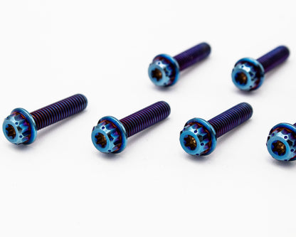 Burnt Titanium Intake Manifold Bolt Kit 12PT – M6 – VW / AUDI 1.8T - 10 pcs Carrot Top Tuning