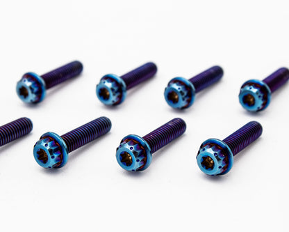 Burnt Titanium Intake Manifold Bolt Kit 12PT – M6 – VW / AUDI 1.8T - 10 pcs Carrot Top Tuning