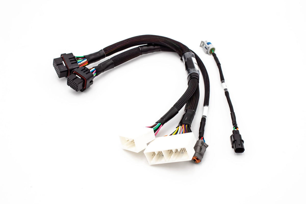 Haltech Elite 1000/1500 K Series Standalone Honda K20 K24 Jumper Adapter Sub Harness Carrot Top Tuning
