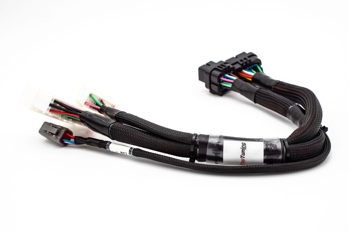 Haltech Elite 1000/1500 K Series Standalone Honda K20 K24 Jumper Adapter Sub Harness Carrot Top Tuning