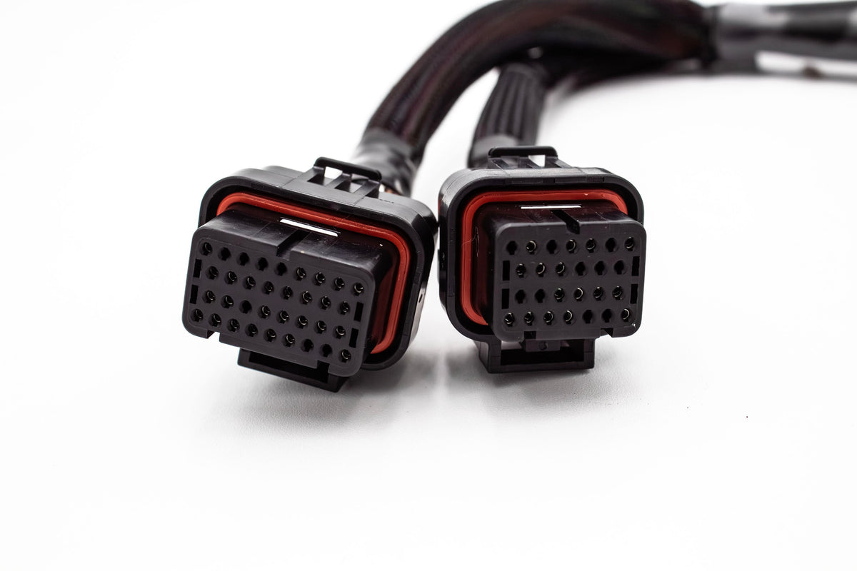 Haltech Elite 1000/1500 K Series Standalone Honda K20 K24 Jumper Adapter Sub Harness Carrot Top Tuning