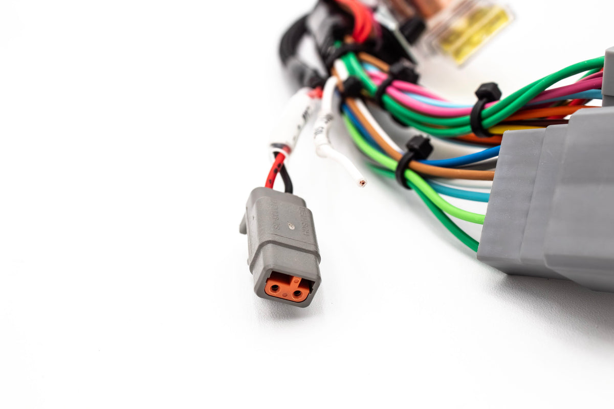 Haltech Elite 550/750 B Series & H Series Standalone Honda B18 B16 H22 H23 Jumper Adapter Sub Harness OBD1 | EG, Integra Carrot Top Tuning